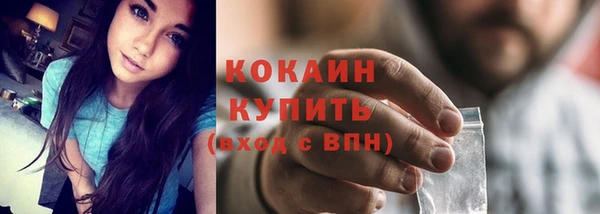прущие грибы Нязепетровск