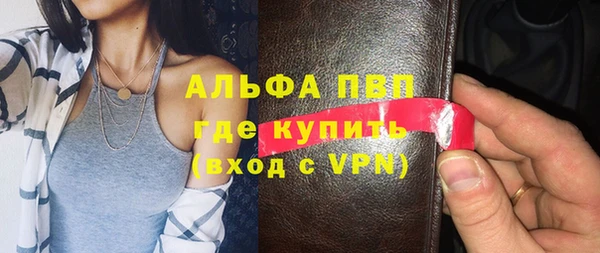 прущие грибы Нязепетровск