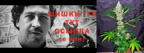 стафф Нягань